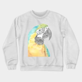 blue and gold macaw watercolor portrait bird parrot Crewneck Sweatshirt